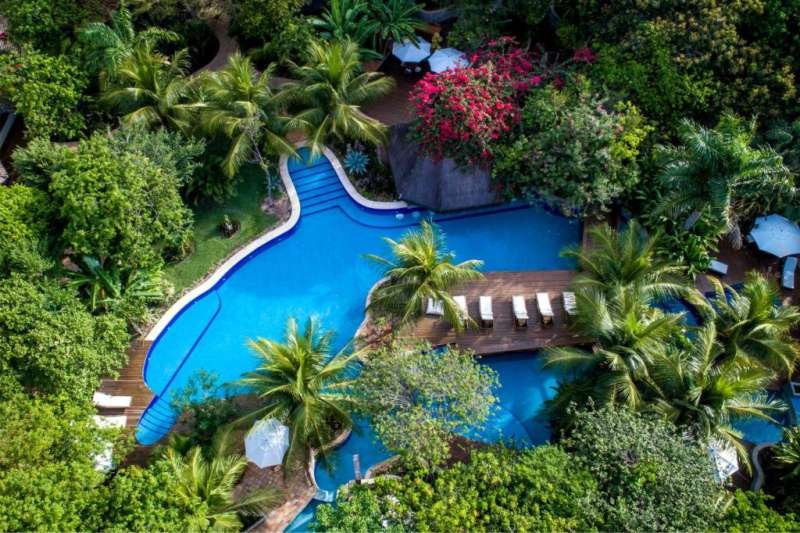 Sombra e Água Fresca Floresta